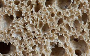 Can we Prevent or Improve the Treatment of Gluten Intolerance (Celiac Disease)?