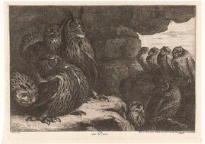 The wilderness and its cultural history
