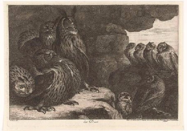 The wilderness and its cultural history
