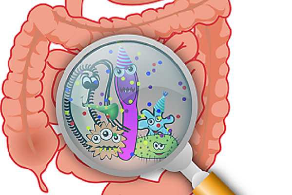 Chronic inflammatory diseases of the gastrointestinal tract