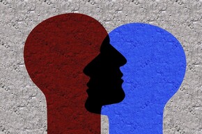 Does the aggressive brain exist?