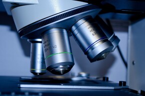 The miraculous life under the microscope