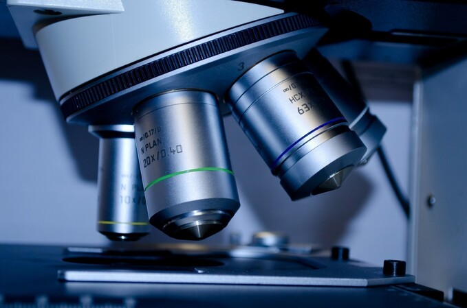 The miraculous life under the microscope