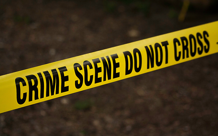 Forensics: From Crime Scene to DNA Match