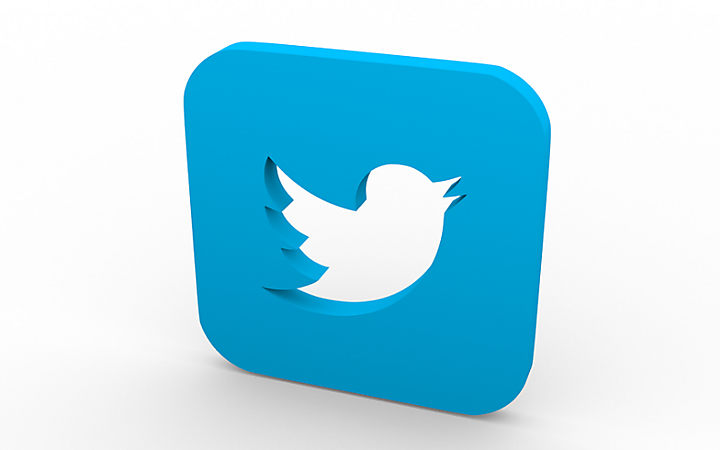 What do Limburgers Tweet About?